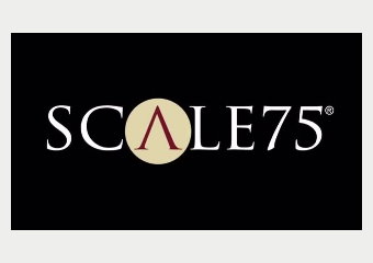 Scale 75 1:72