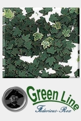 Green-Line / Blätter 1:32/35