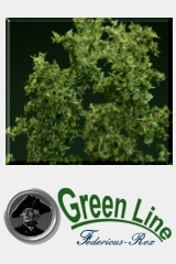 Green-Line / Naturpflanzen