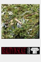 Reality in Scale - Streumaterial