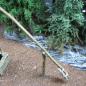 Preview: Green-Line: GL-1-72-014 Fern 1:72