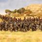 Preview: Perry Miniatures: VLW 41 Zulus