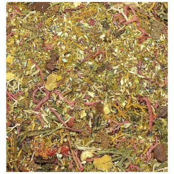 Reality in Scale: DET03 Ground Detail - Autumn Forest 80ml - Kopie