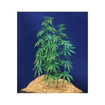 Green-Line GL-117 - Hanfpflanzen/Cannabispflanzen 1:32/35