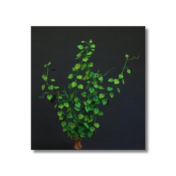 Green-Line GL-100 - Vine 1:35