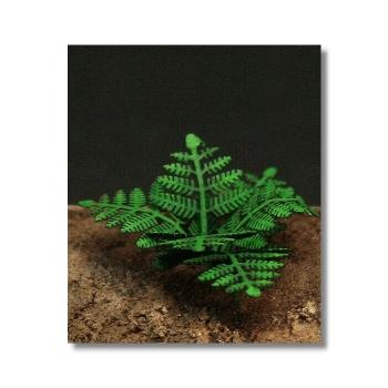 Green-Line GL-053 - Farn 1:35