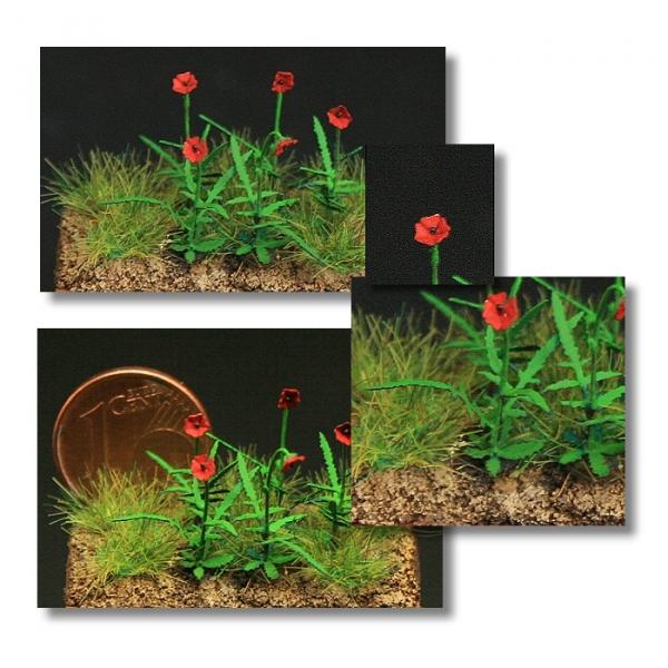 Green-Line GL-116 - Poppie plants 1:35