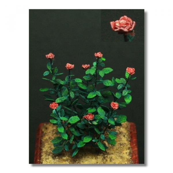 Green-Line GL-119 - Roses 1:35