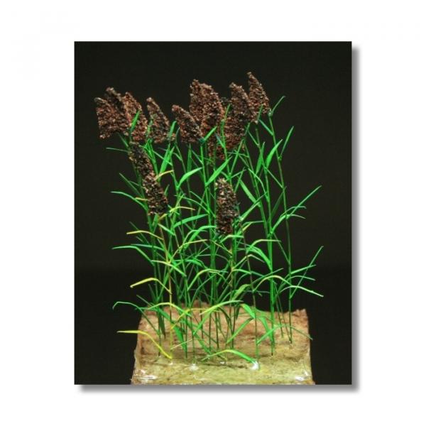 Green-Line GL-113 - Reed plants 1:35