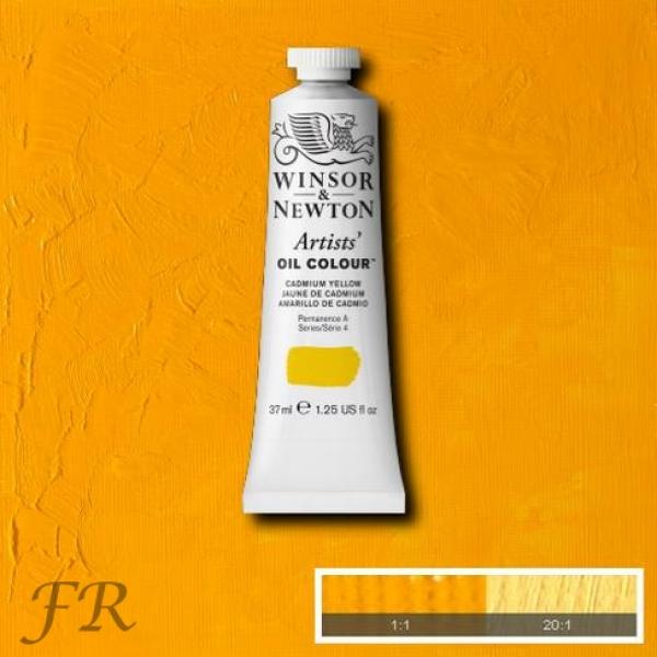 Winsor & Newton Artists Cadmium Yellow 108, Tube a 37ml