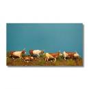 Germania Figuren 1:72: GF 72-9502 "Longhorns running"