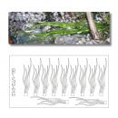 Green-Line: GL-1-72-012 Wasserpflanzen 1:72